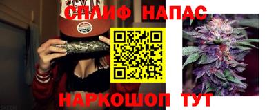 spice Кимры
