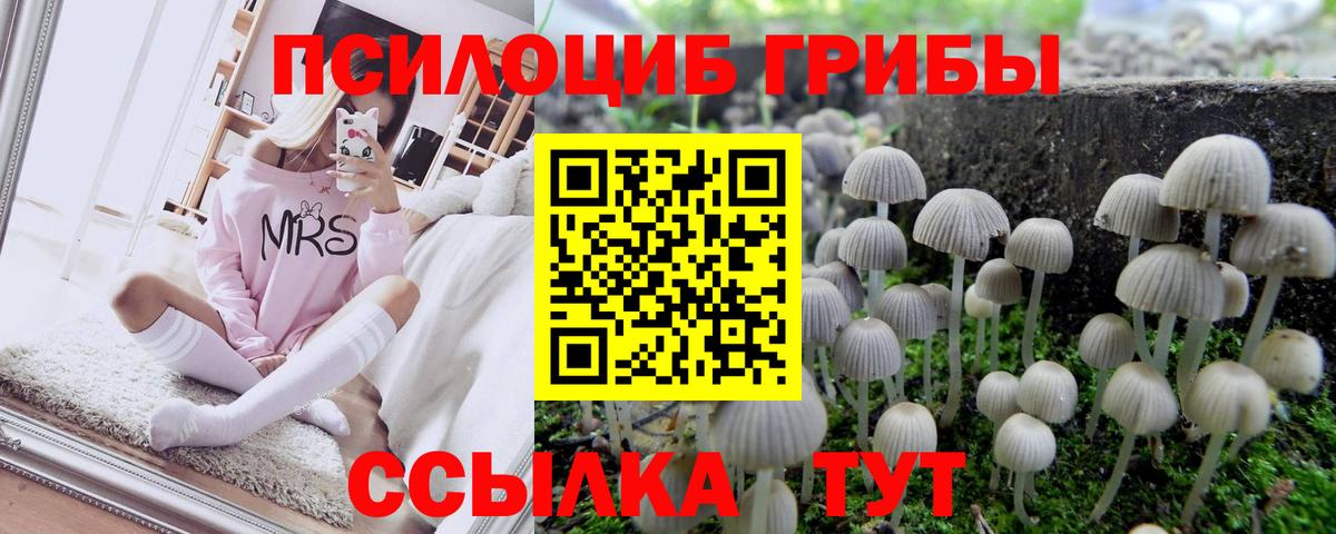 Псилоцибиновые грибы Magic Shrooms  Псилоцибиновые грибы ЛСД  дарнет шоп  Вход с VPN  Тамбов 